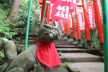 佐助稲荷神社（鎌倉）のキツネの置物