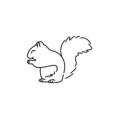 Squirrel line icon. Isolated on white background