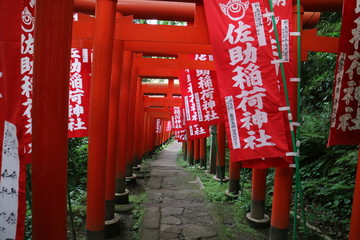 佐助稲荷神社の鳥居（鎌倉）