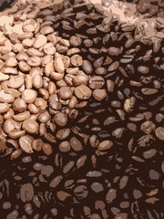 Roasted coffee beans close up illustration in the sun light and shadow