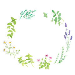 ハーブセット　水彩イラスト