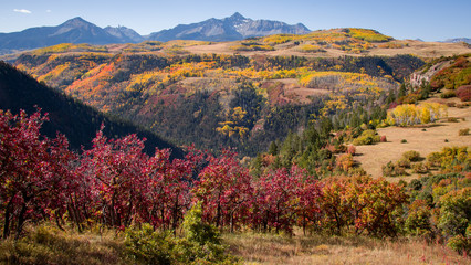 Colorful Fall landscape in Colorado
