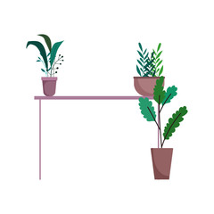 potted plants in table interior decoration isolated icon on white background