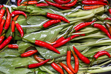 Red chilli and kale in water