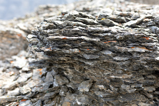 The Rock Layers, Canadian Rockies