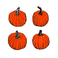 Vector illustration of orange pumpkins isolated on a white background. Hand drawn elements. Sticker, emblem, print, ikon.	
