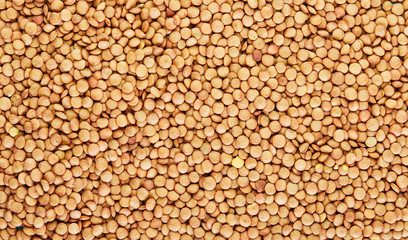 Close up lentil background, lentil seeds.