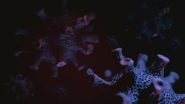 Coronavirus (Covid-19 or 2019-nCoV or Sars-Cov-2). Approaching Bluish Cells On A Dark Background.
