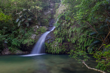 Getaway to a mall jungle waterfall 