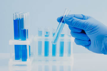 scientific laboratory equipment. hands of a scientific researcher in blue gloves