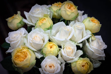 Bouquet of yellow and white roses