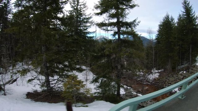 Mt Rainier National Park Window View of Winter Landscape