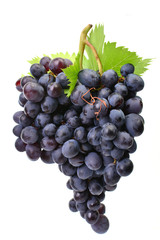 Grapes on a white background