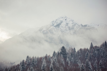 Frozen mountain peak before storm, Piatra Craiului, Zarnesti.