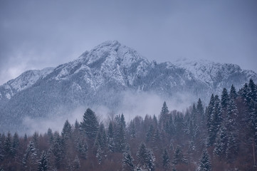 Frozen mountain peak before storm, Piatra Craiului, Zarnesti.