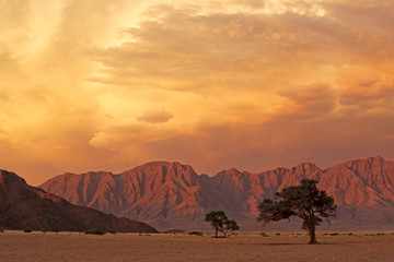 Fototapeta na wymiar Namib desert landscape at sunset with rugged mountains and dramatic clouds, Namibia.
