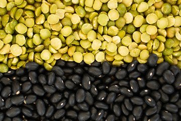 lentilles vertes et haricots noirs 