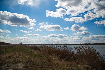 Fototapeta premium Forest lake in the central strip of Russia.