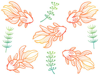 金魚と水草の線画イラストセット（グラデーション）