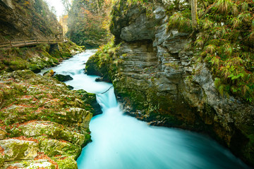 the river in the mountain forest at the end of autumn