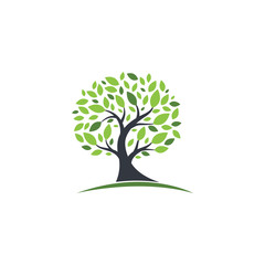 Obraz premium Tree Logo template vector icon