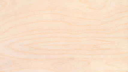 panoramic background from natural birch plywood