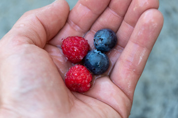 Beeren in der Hand