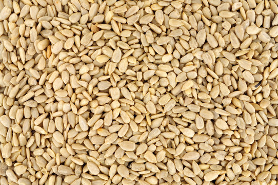 Protein rich sunflower seed kernel hearts background