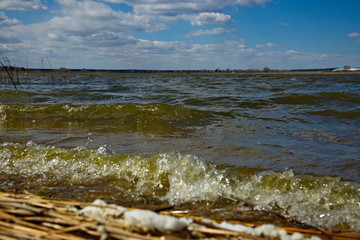 Shore of a forest lake in windy weather.