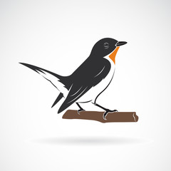 Taiga Flycatcher or Red throated Flycatcher Bird (Ficedula albicilla) on white background. Birds. Animals. Easy editable layered vector illustration.