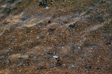 Image of a sandy seabed.