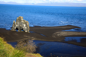 Vatnsnes / Iceland - August 27, 2017: The Hvitserkur rock in Vatnsnes peninsula, Iceland, Europe