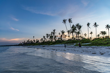 Unguja- Zanzibar Island 
