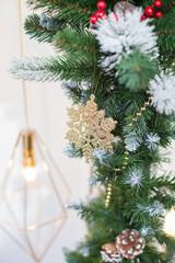 сhristmas New Year Celebration Decorations Concept