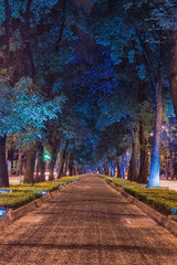 Bosque con pista para correr 