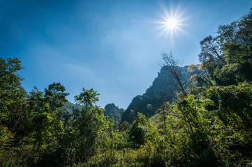 sun light and mountain forest landscape