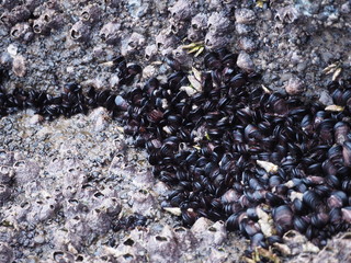 JEJU ISLAND/KOREA - 09th Jun, 2018 : Jeju Island is one of the famous in South Korea Region. Korean Street Foods. Jeju do beach Island, South Korea
