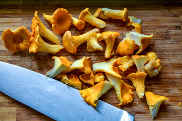 Mushrooms chanterelles are on the table, next to the knife. Edible mushroom rooster cut for dressing in the soup lies on the cutting Board. 