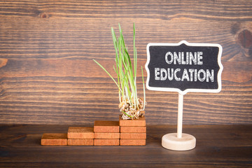 Online Education. Goals, career, opportunities and achievements