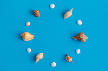 Creative various seashell pattern on pastel blue background with copy space. Summer flat lay.