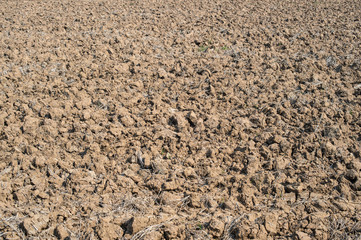 background of soil floor for agriculture