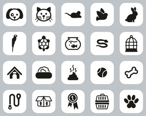 Pets & Pet Accessories Icons Black & White Flat Design Set Big
