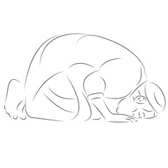 muslim man prays in a mosque