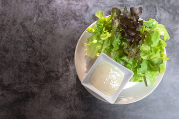 Green and red lettuce salad with cream dipping sauce on plate with copy space.