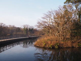 JEJU ISLAND/KOREA - 09th Jun, 2018 : Ecoland Theme Park in Jeju island, South Korea.
