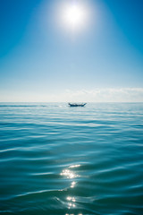 Boat sailing in the sun through the Arabigo Sea in the direction of Masirah Island, Oman