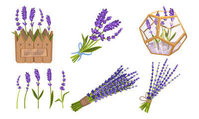 Lavender Floral Twigs Tied in Bunches, Growing in Flowerbed and Scattered Vector Set