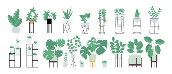 Vector isolated illustration of an indoor plants. Home interior.