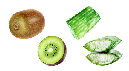 Fototapeta na wymiar Kiwi fruit aloe set watercolor isolated on white background