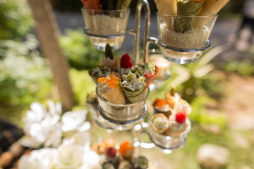 plate with delicious various finger food. luxury concept